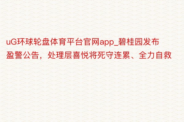 uG环球轮盘体育平台官网app_碧桂园发布盈警公告，处理层喜悦将死守连累、全力自救